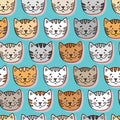 Cute seamless blue pattern with pretty cats.